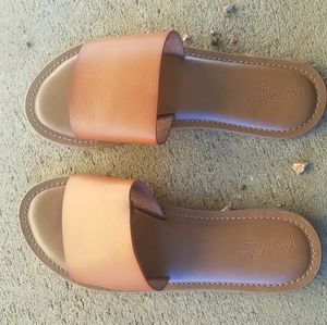 Universal thread company orange slides